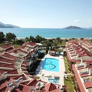 Aryam 2 Türkiye